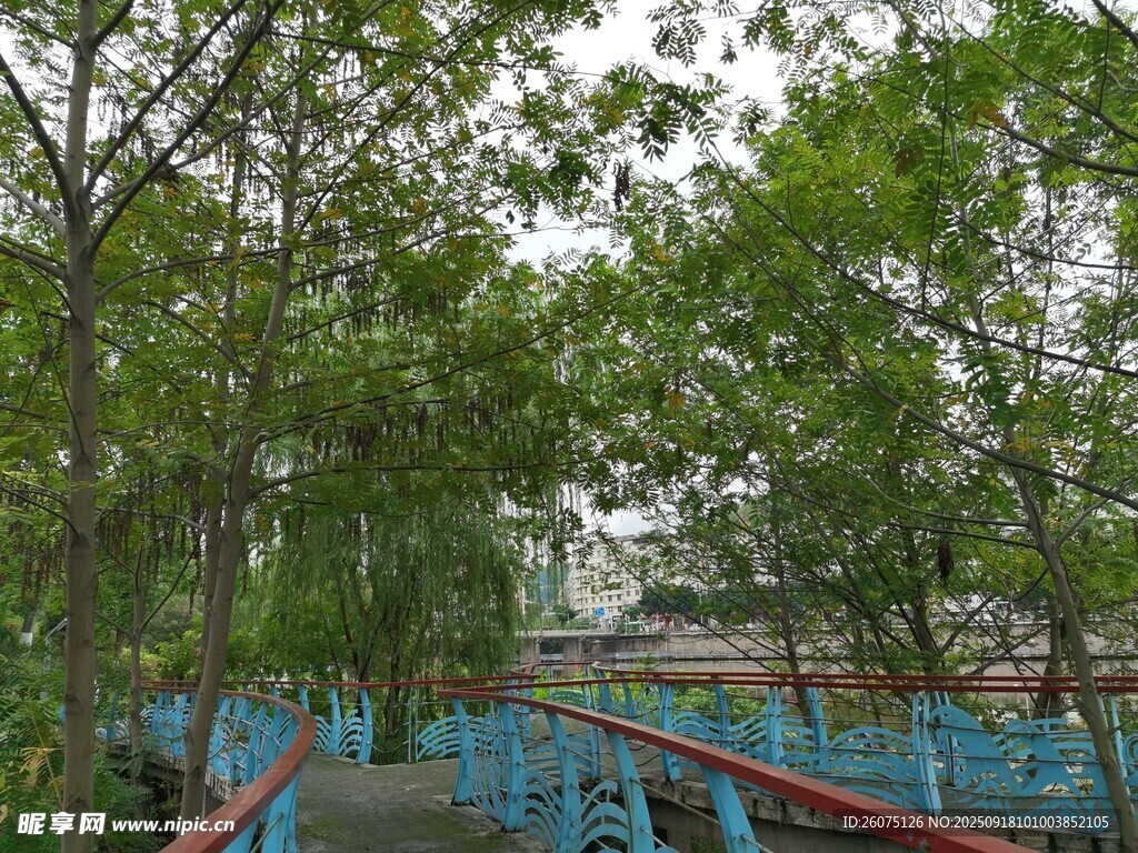 河畔綠樹環(huán)繞的藍(lán)色步道