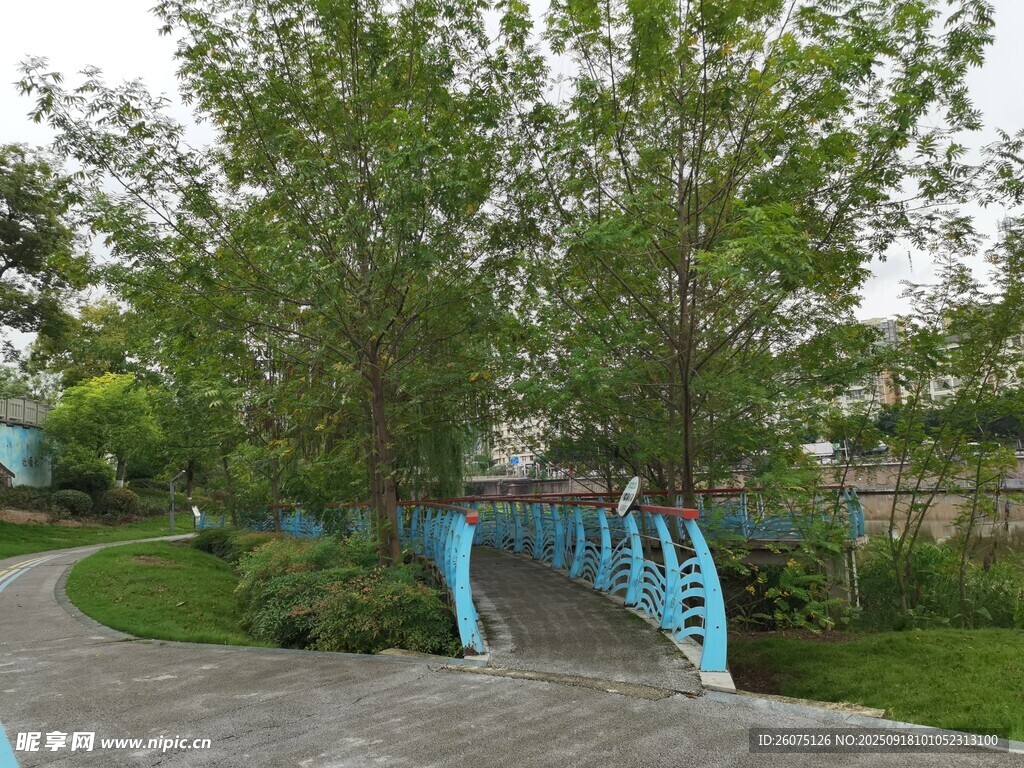 公園中的藍色別致小橋