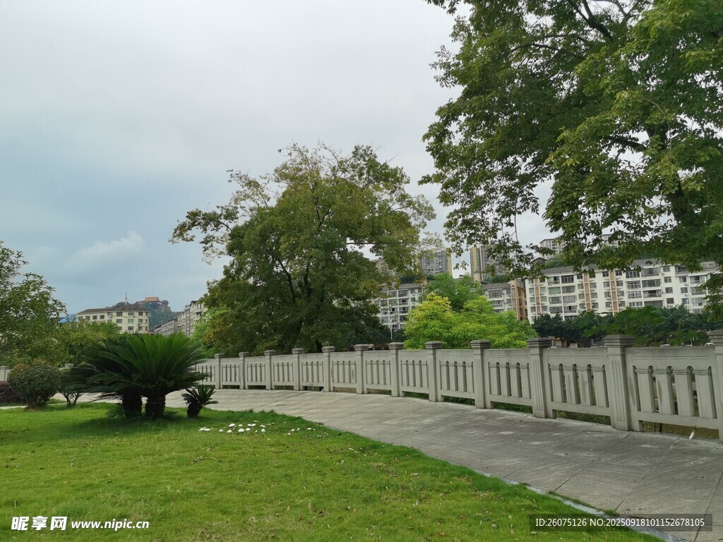 公園中的林蔭步道
