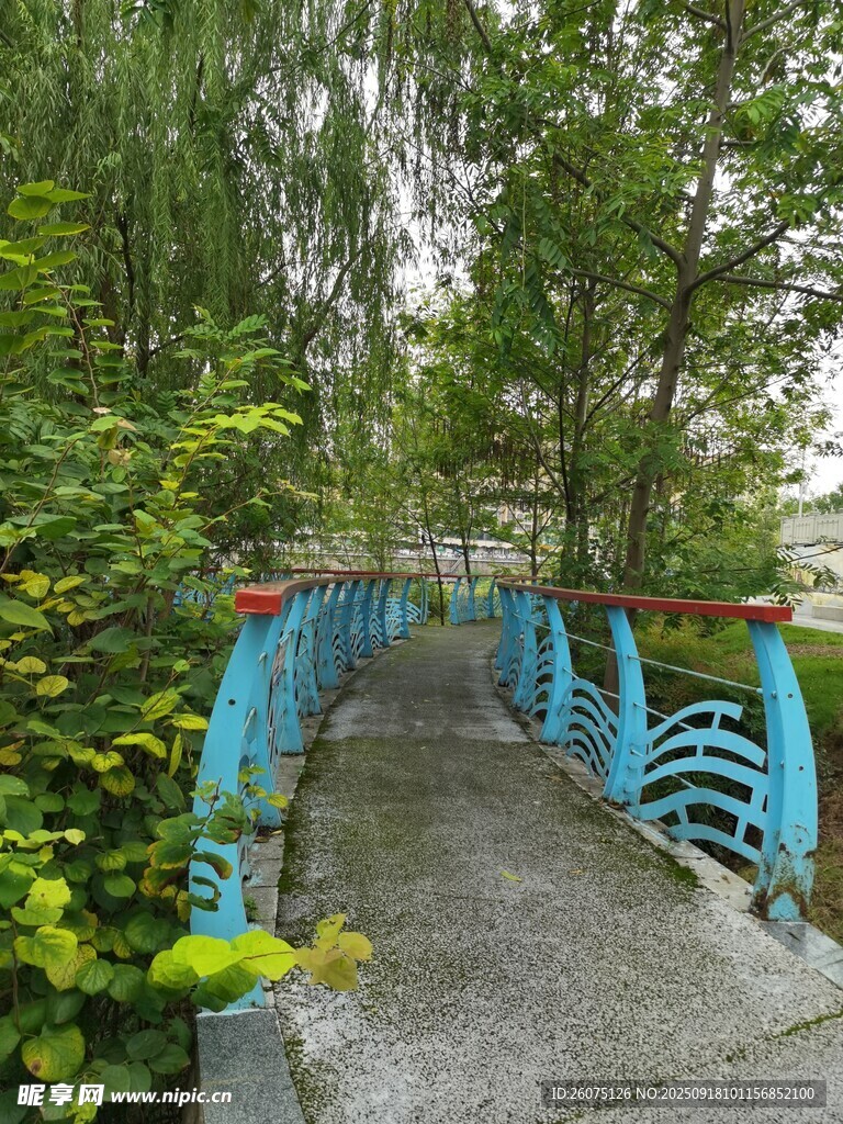 藍(lán)色小橋隱于蔥郁綠植間