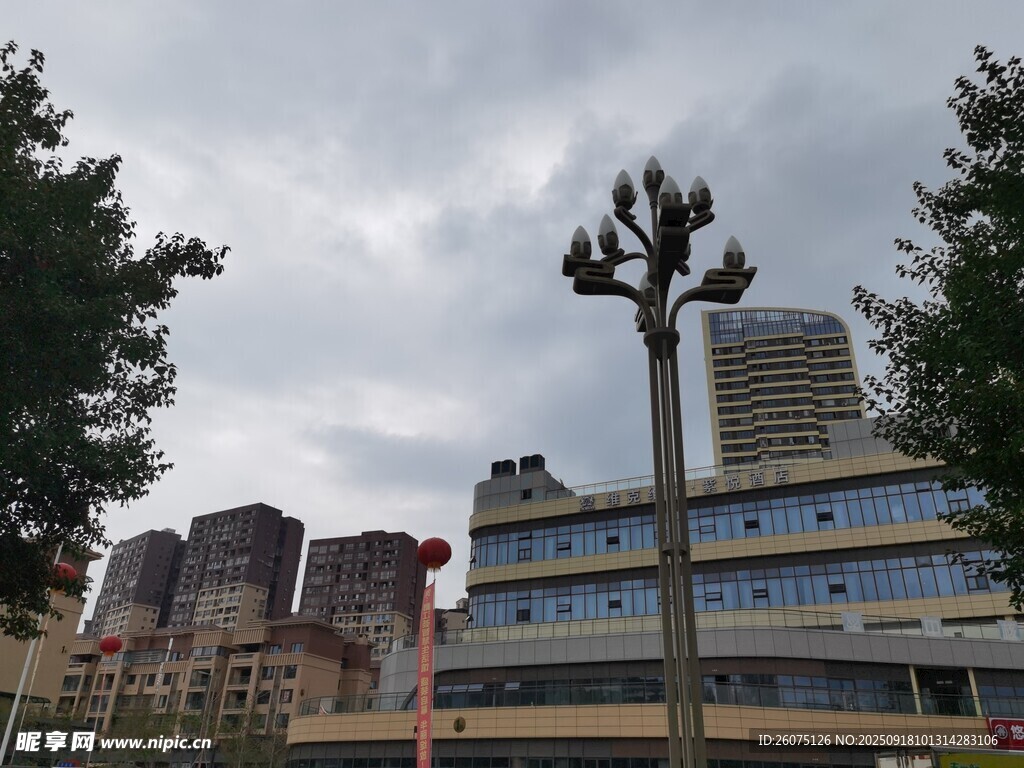 城市中的獨特樹木與建筑