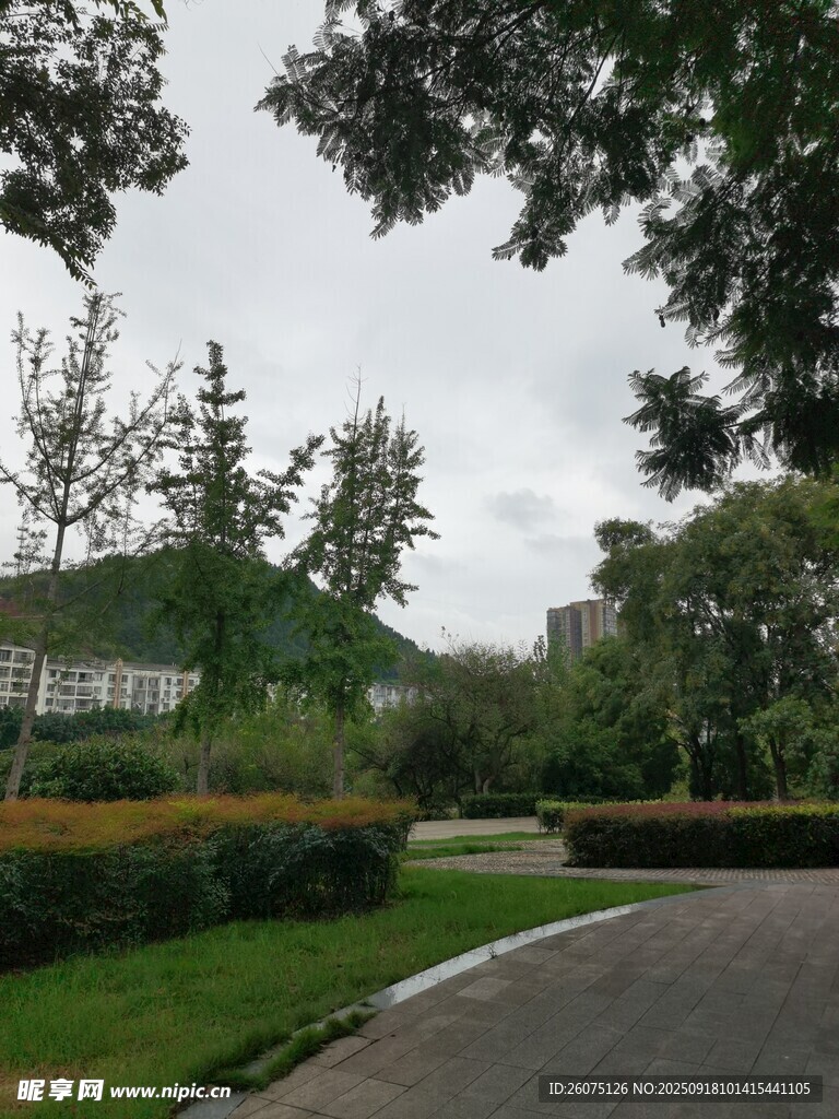 城市中的靜謐園林景觀