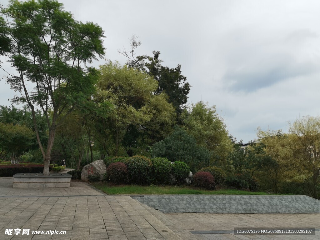 公園中的寧靜景致