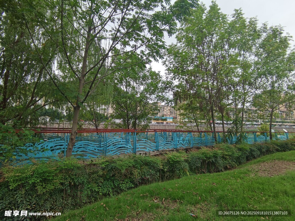 戶外綠樹環(huán)繞的藍(lán)色場地