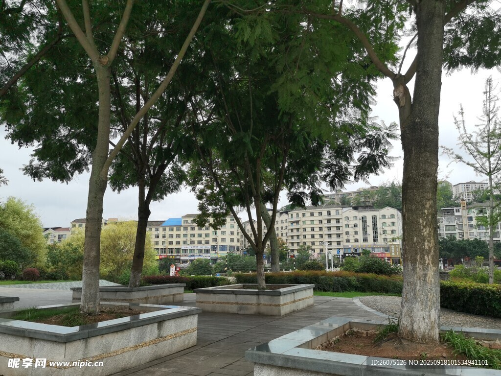 城市公園中的林蔭休憩區(qū)