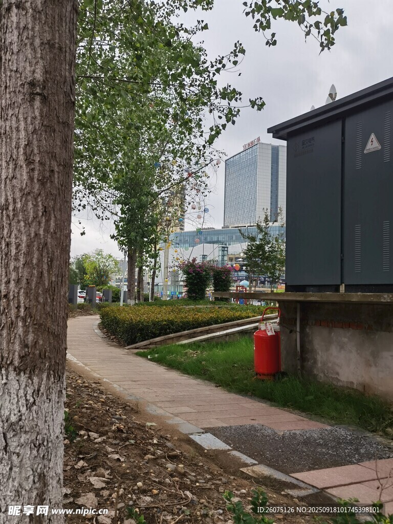 戶外街道旁的電箱與綠植
