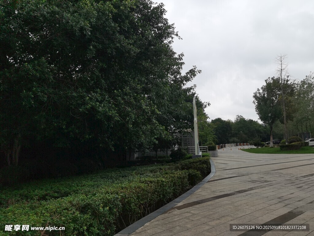 林蔭步道靜謐自然景致