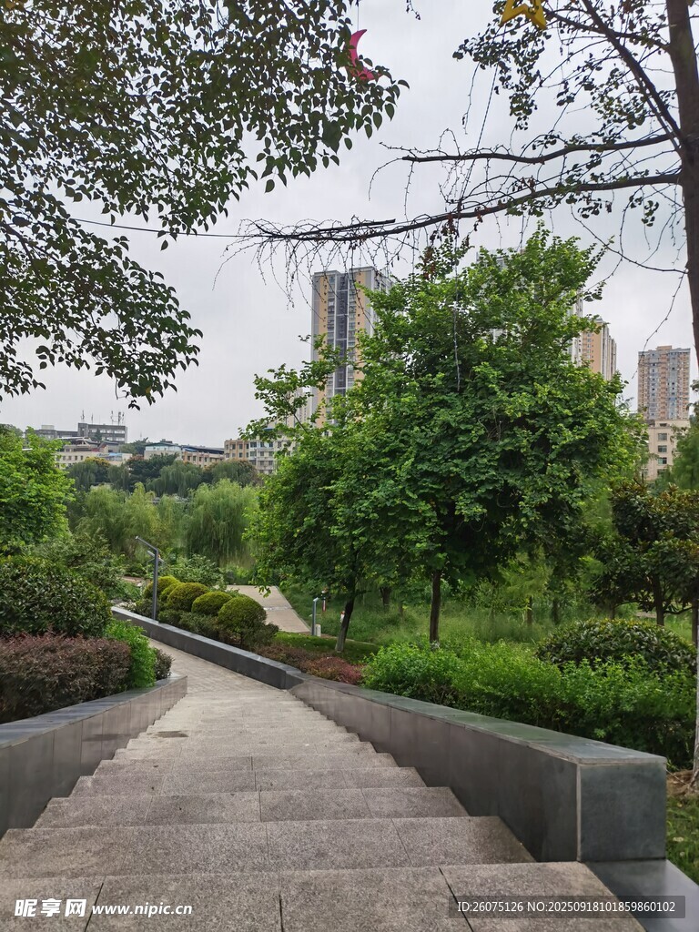 城市中的靜謐林蔭步道