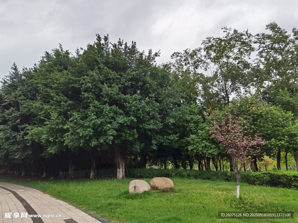 公園綠意盎然的寧?kù)o景致