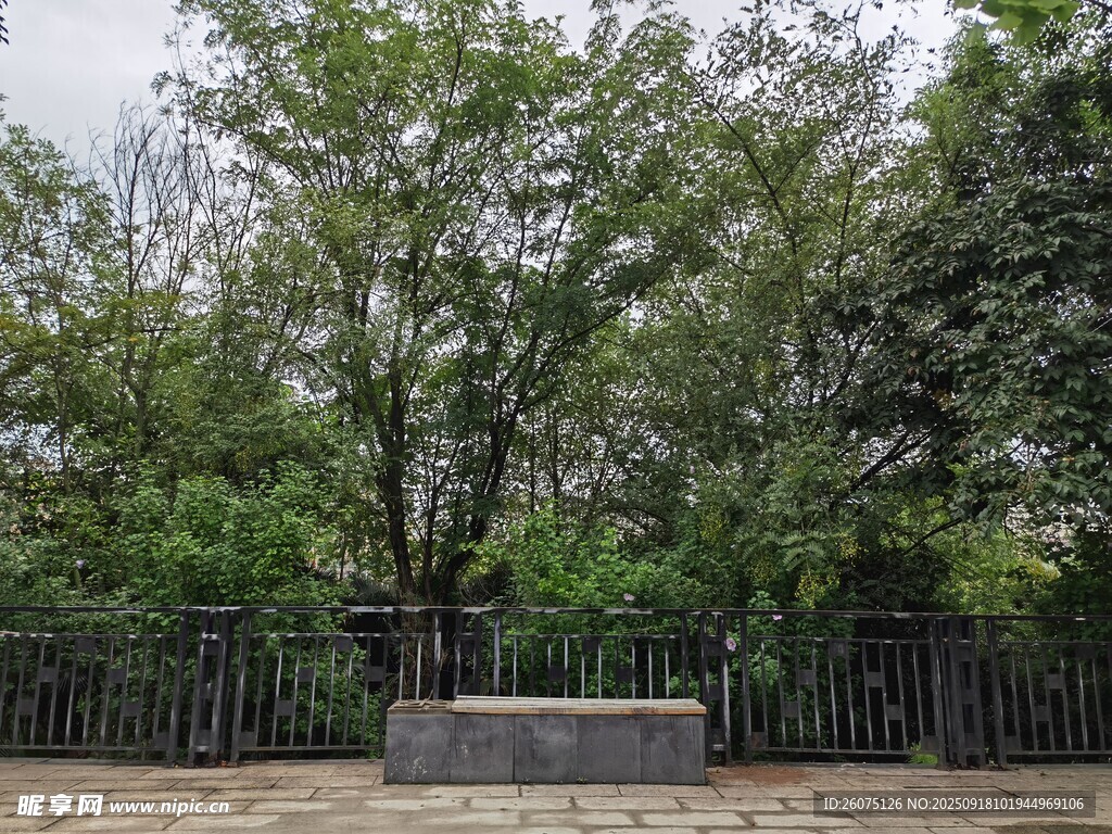 戶外綠樹環(huán)繞的石質(zhì)景觀
