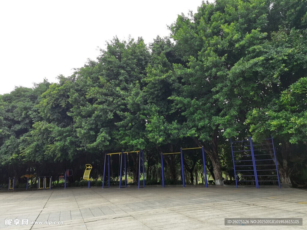 綠樹環(huán)繞的戶外休閑場地