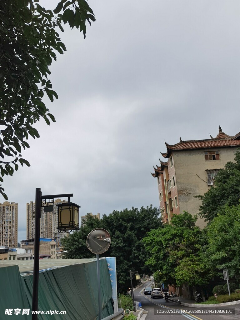 中式古建筑旁的綠樹景觀