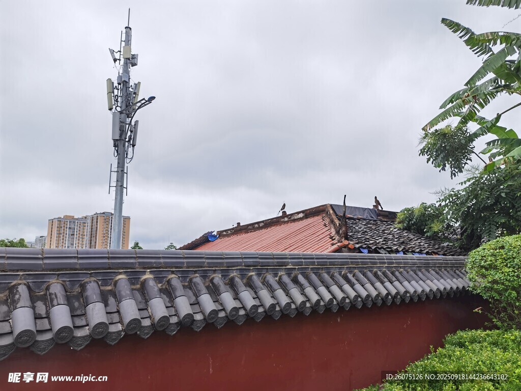 中式建筑旁的通信鐵塔