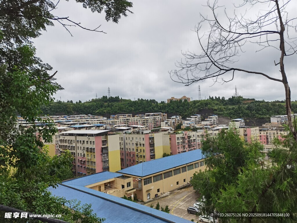 俯瞰多彩建筑群與綠樹