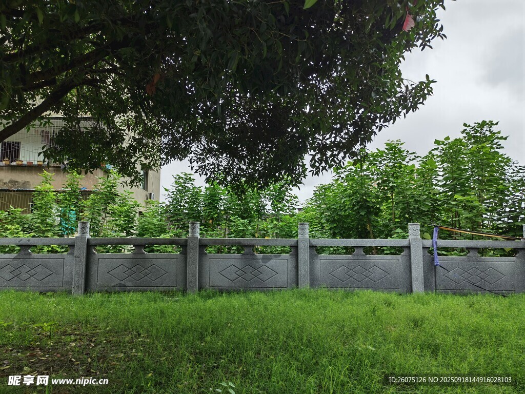 庭院綠植圍欄景致