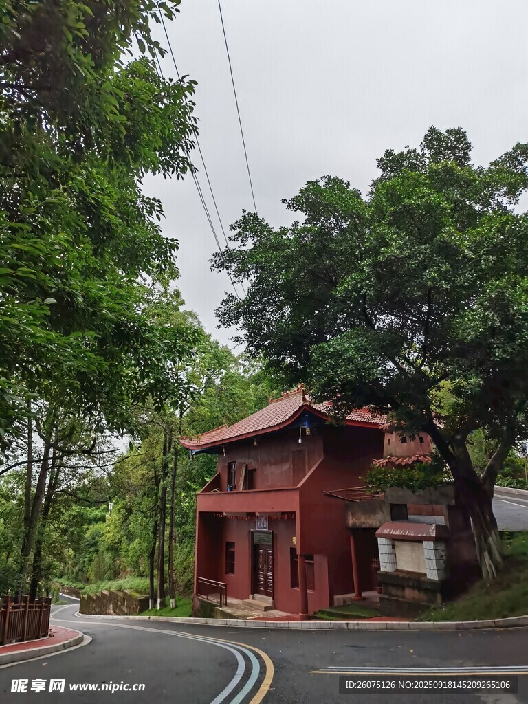 紅頂小屋隱于綠樹間