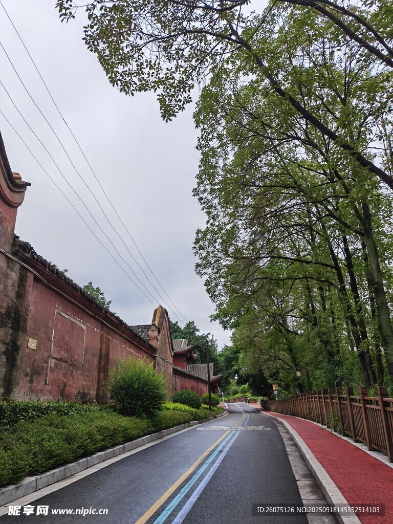 綠樹環(huán)繞的寧?kù)o道路