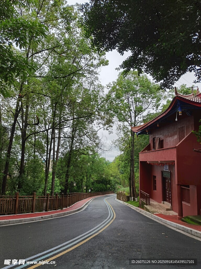 林間紅房旁的蜿蜒公路