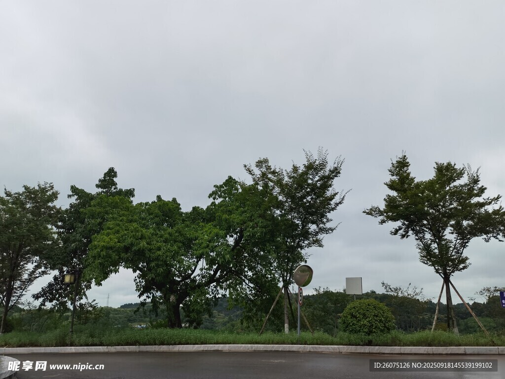 戶外綠樹景觀