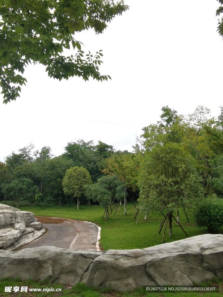 戶外綠意盎然的休閑場(chǎng)景