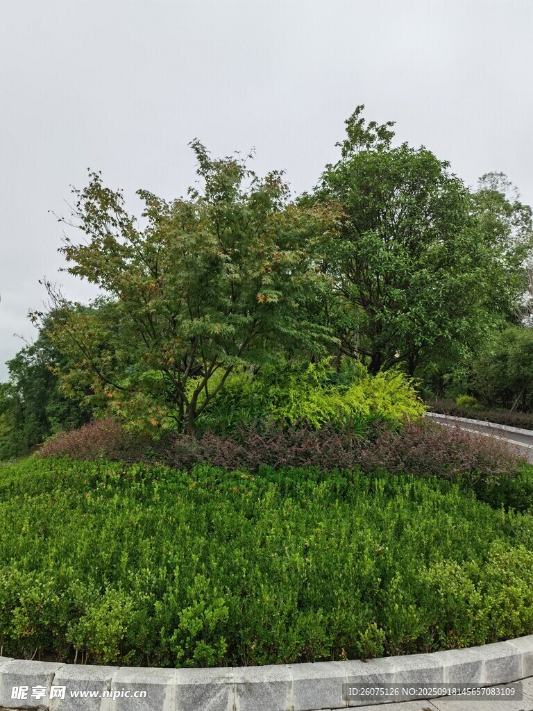 綠意盎然的園林景觀