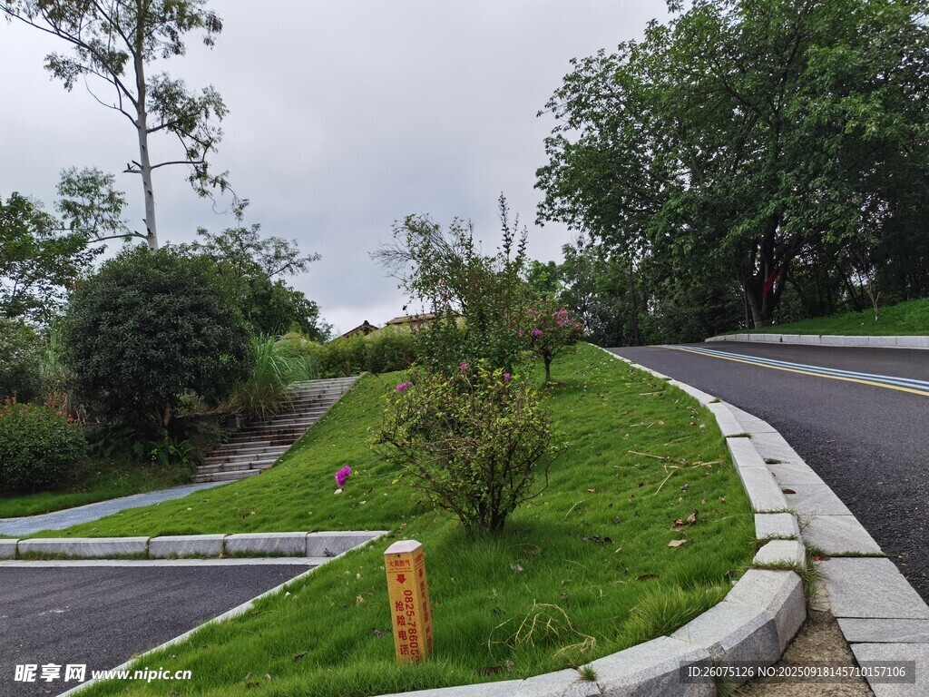 蜿蜒公路旁的綠意景致