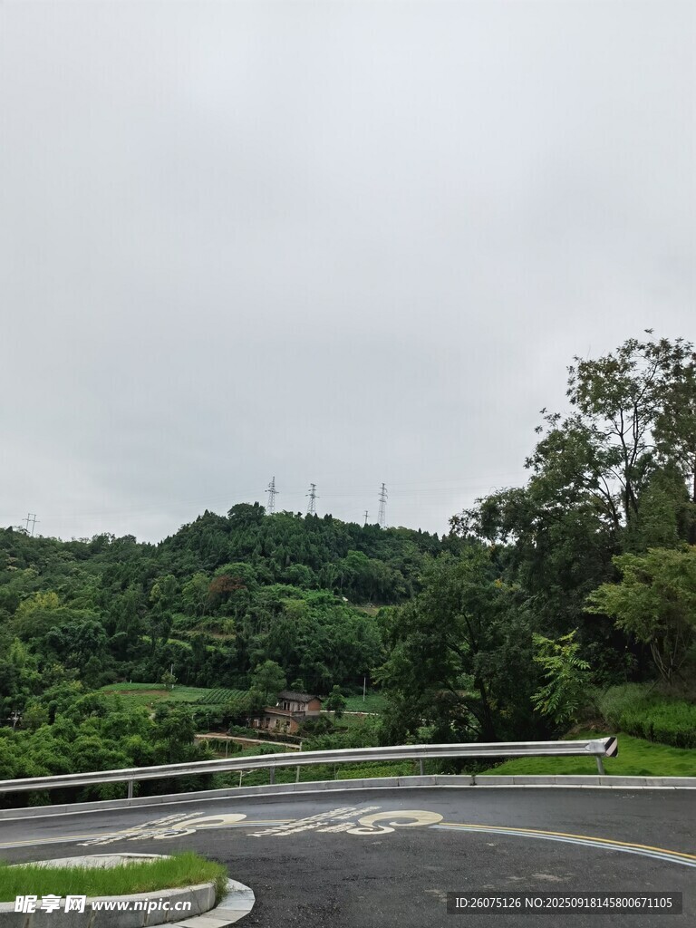 蜿蜒公路旁的蔥郁山林
