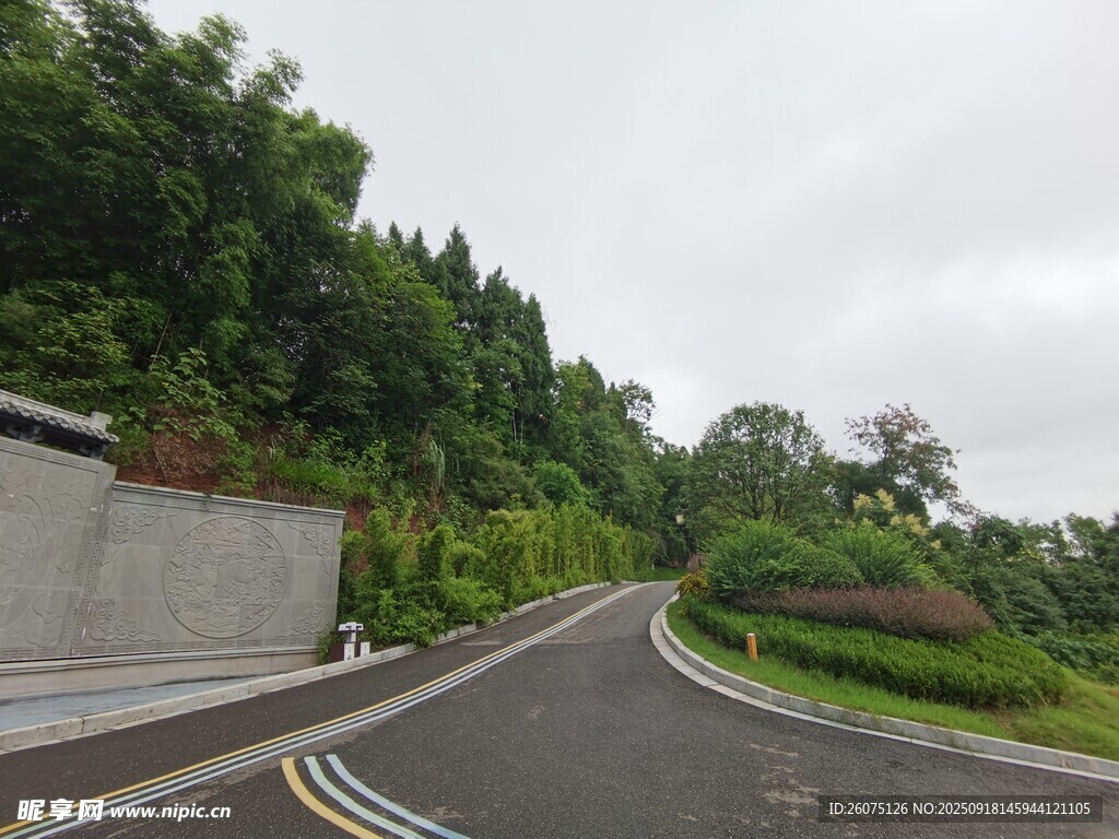 蜿蜒公路穿行于蔥郁山林