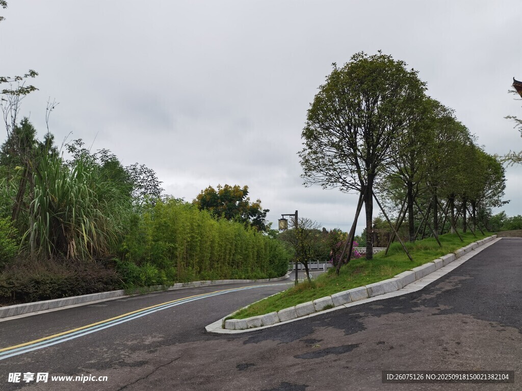 蜿蜒道路旁的綠植景觀