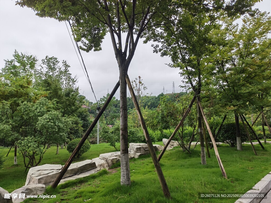綠樹成蔭的戶外園林景觀