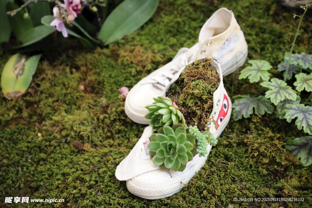 苔蘚裝點(diǎn)的別致運(yùn)動(dòng)鞋