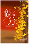 秋分