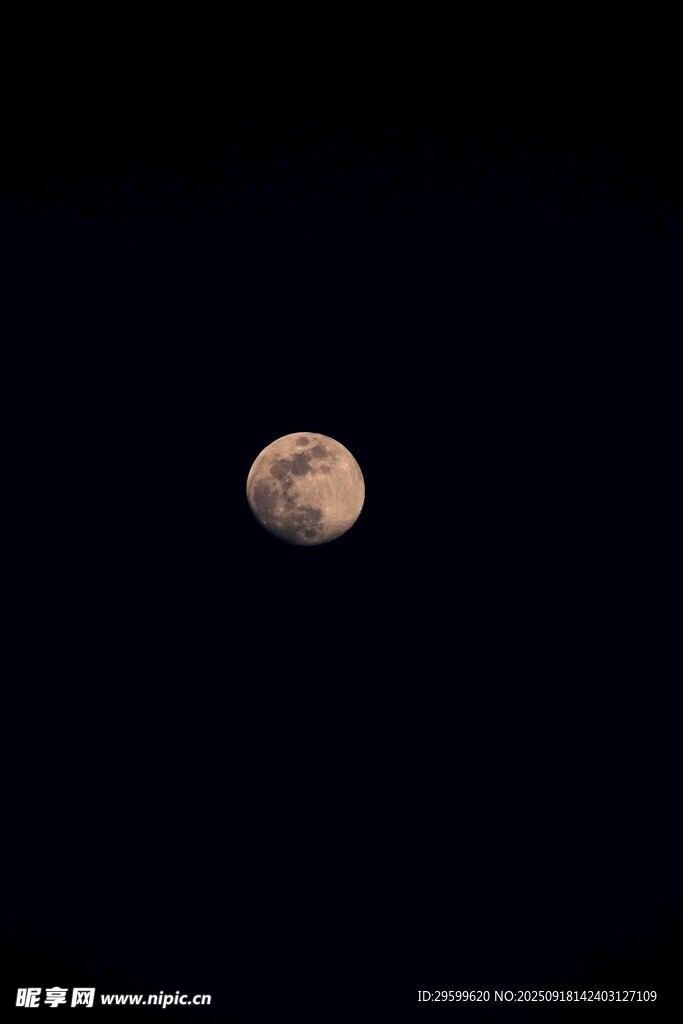 夜空中的明亮圓月