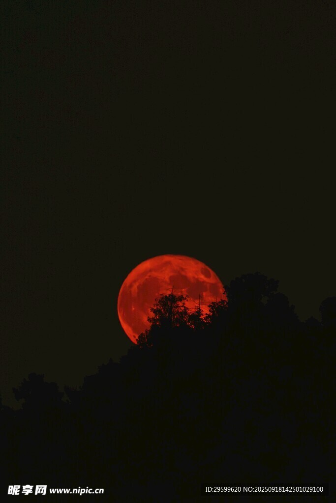 夜空中的紅月