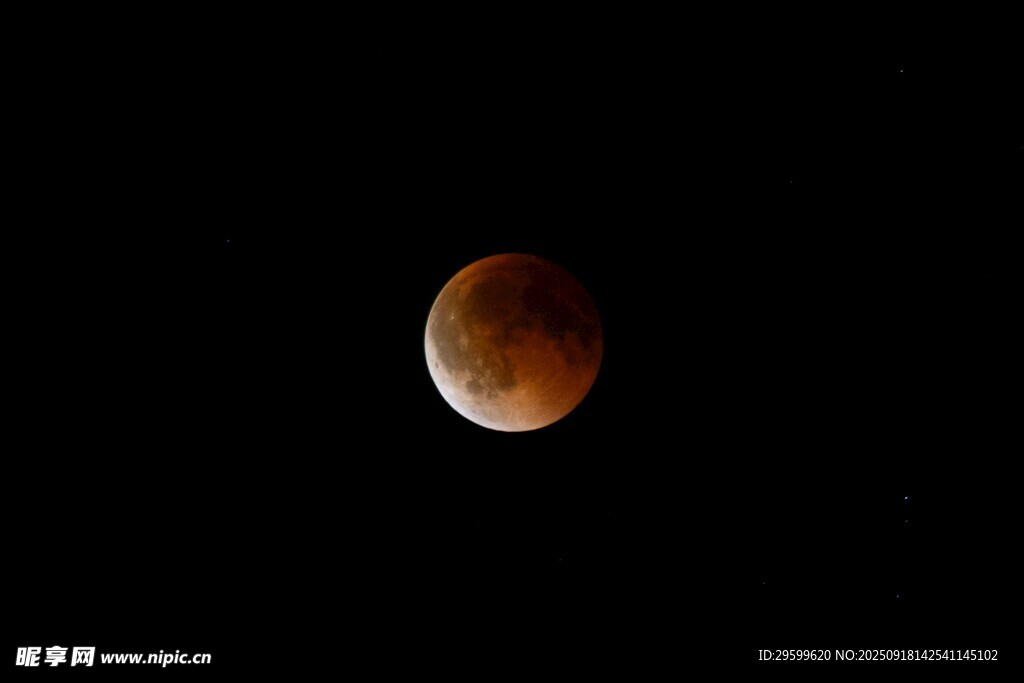 紅月高懸夜空