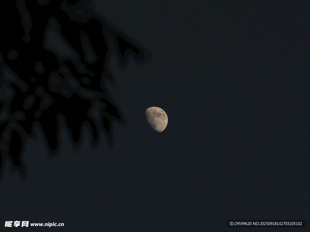 夜空中的朦朧彎月