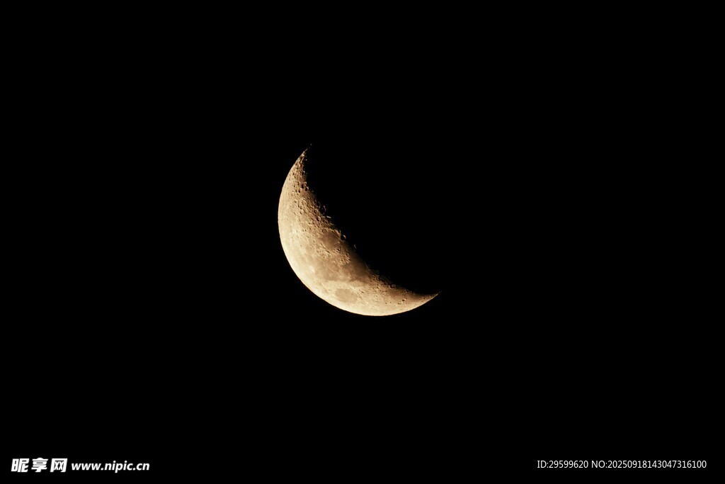 新月懸于夜空