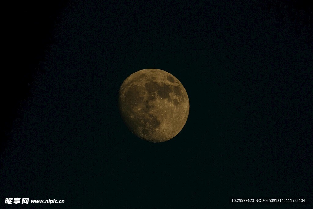 夜空中的金黃滿月