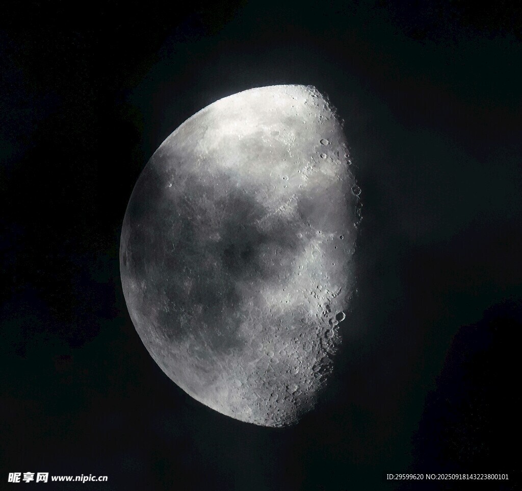 半月高懸夜空