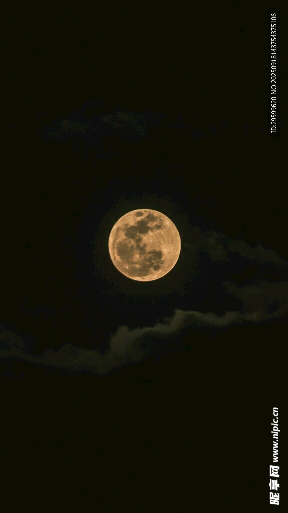夜空中的金黃圓月