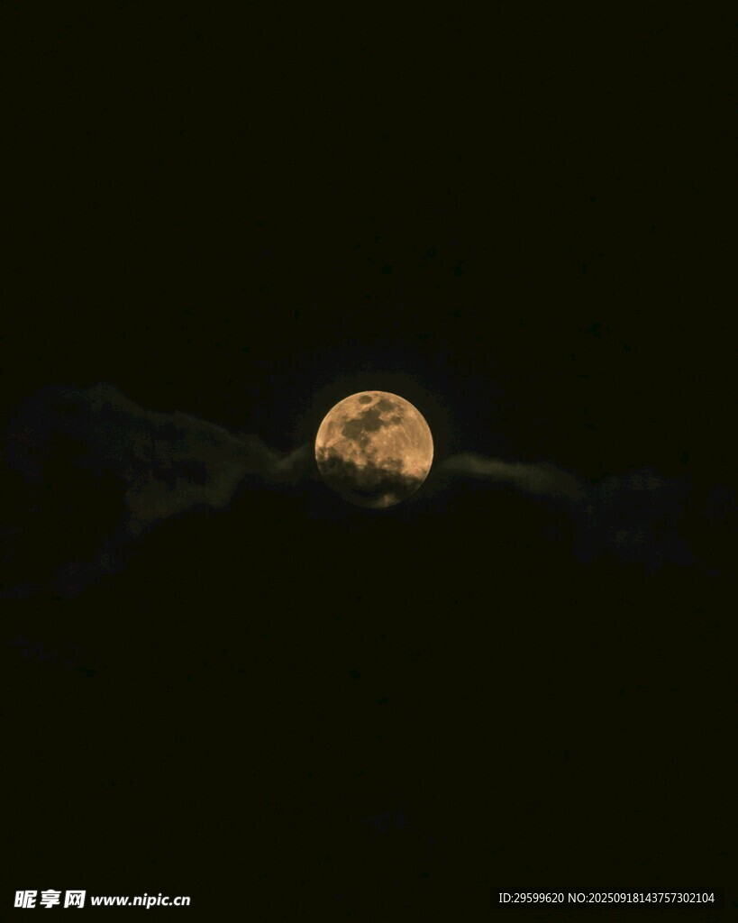 夜空中的明亮圓月