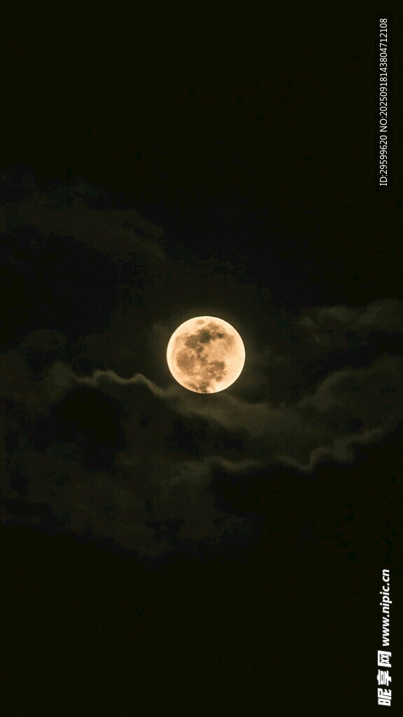 夜空中的明亮滿月