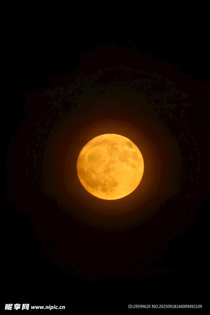夜空中的金黃滿月