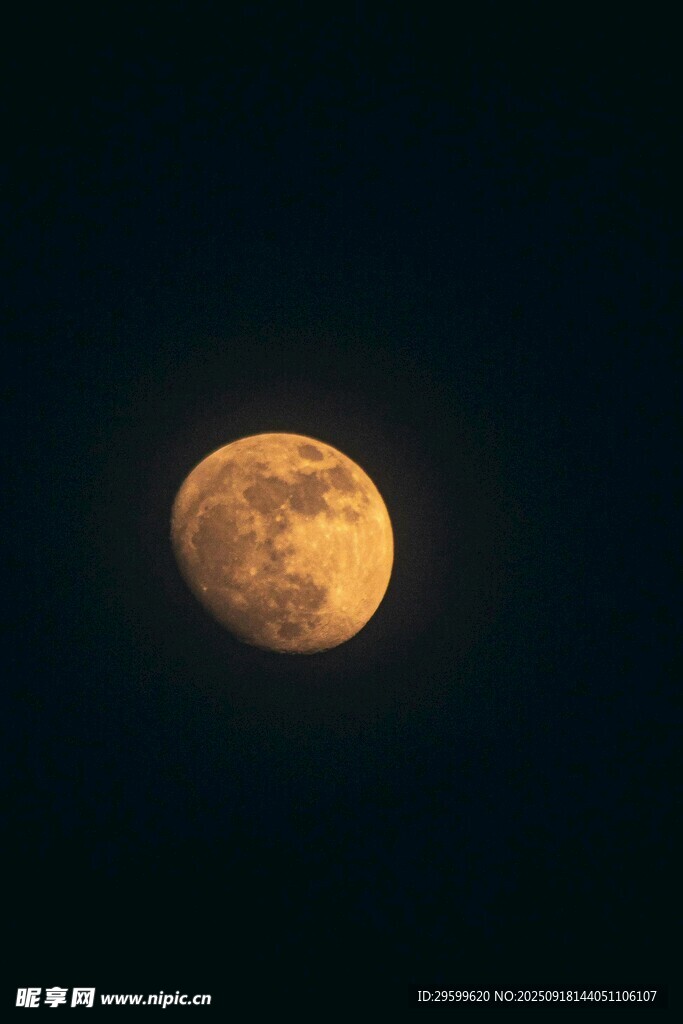 夜空中的金黃滿月
