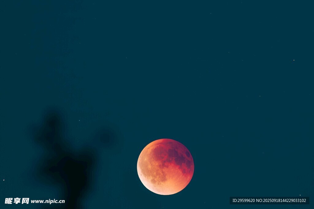 紅月高懸夜空