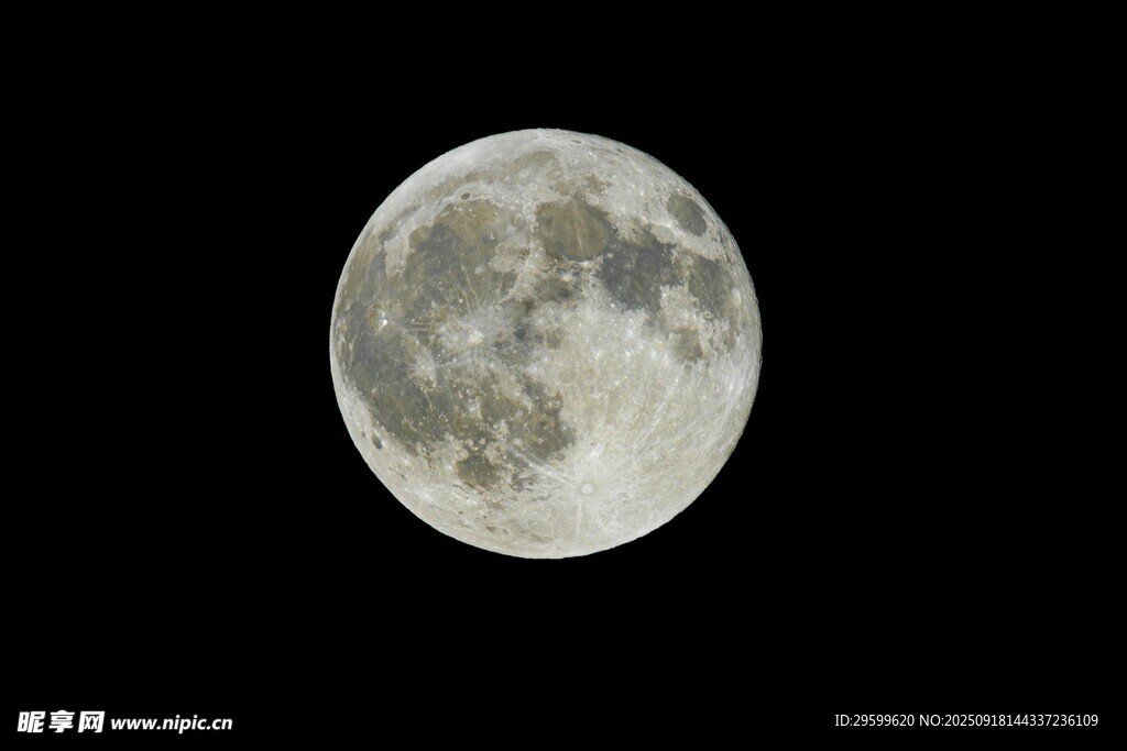 夜空中的皎潔滿月