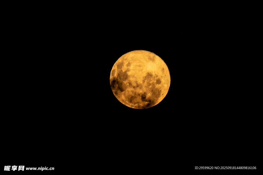 夜空中的金黃圓月