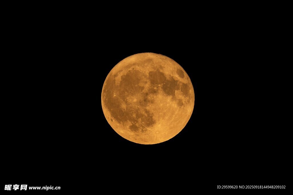 金黃滿月懸于夜空