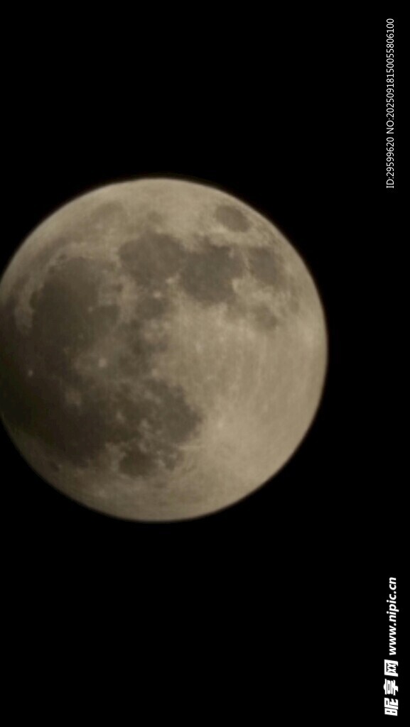 夜空中的滿月
