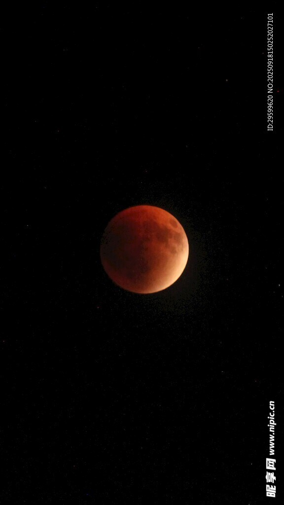 紅月高懸夜空